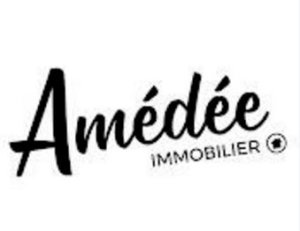AMEDEE IMMOBILIER 